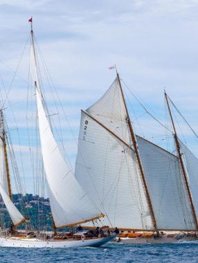 Voiles de Saint-Tropez (classiques et modernes)