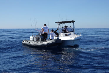 Suzuki Marine and the Société Nautique de Saint-Tropez launch the Suzuki Fishing “Master of Masters